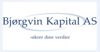 /album/bj%c3%b8rgvin-kapital-as/lo-png/